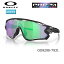 オークリー(OAKLEY) サングラス ジョウブレイカー (JAWBREAKER) 【OO9290-7931】(Prizm Road Jade Lenses) USモデル