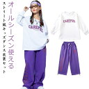 ガールズ 韓国 hiphop セットアップ 男の子 ワイドパンツ ストリート 可愛い kpop Tシャツ トップス パンツ 子供服 女の子 カッコイイ ダンス衣...