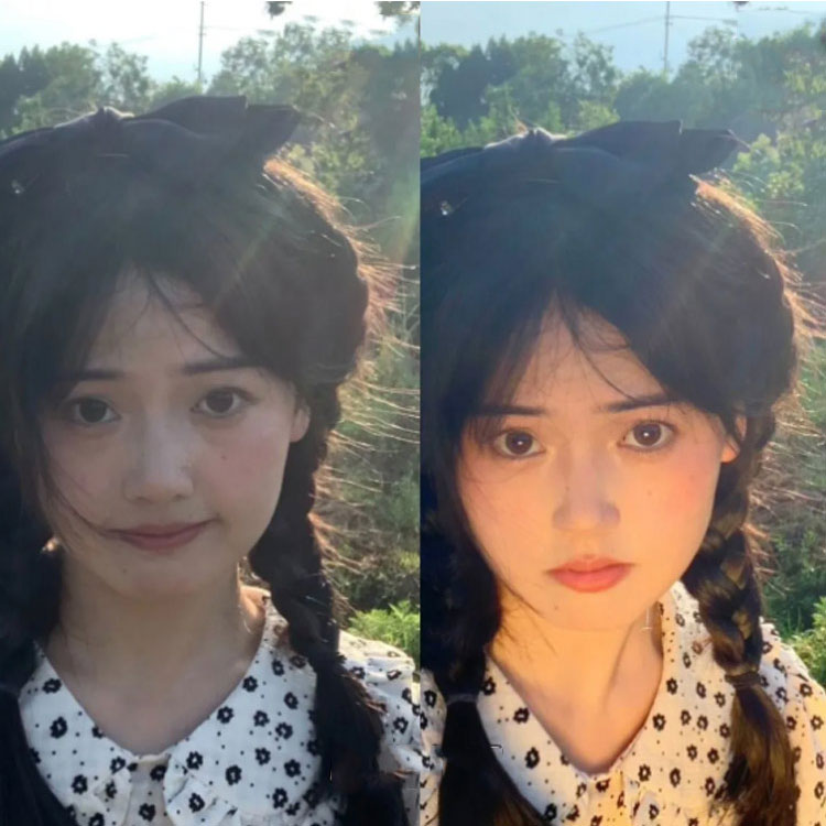 ������̵���ۥߥ˥���� 30cm �ݷ� �����Ѵݥ���� �̿����� ������ ������ ʪ���� ���� ���� �������յ��� ����� ��ե쥯���� ξ�̻��� ����С� ������� �ۥ磻�� �饤�ƥ��� �ޤꤿ���� ����ѥ��� �ߥ� ������ ������������