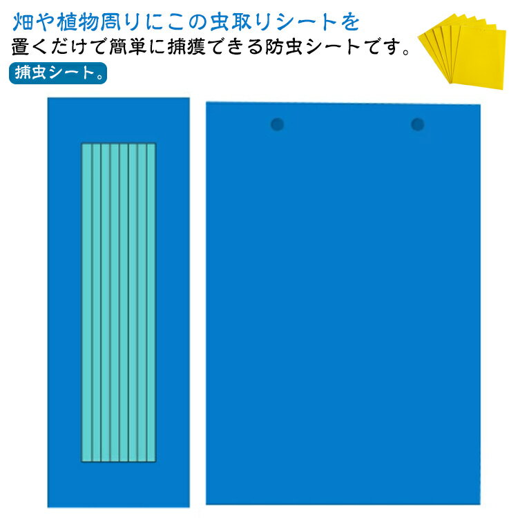 40枚セット 虫よけ 粘着シート ハエ取り紙 コバエ取り 粘着トラップ 粘着マット コバエ 虫取りシート 捕虫シート 害虫捕獲粘着紙 両面粘着紙 捕虫器 捕虫シート 害虫対策用品 室内外対応 害虫 駆除 畑 田んぼ 虫除け 家庭菜園 送料無料
