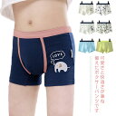 ボクサーパンツ 男の子 キッズ・ジュニア 2枚セット 110 120 130 140 150 160 170 子供 下着 ブリーフ パンツ インナー 男児 おし...