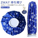 氷のう アイスバッグ スプレー付 氷嚢 アイシングバッグ 2WAY 持ち運び 熱中症 応急処置 冷却 水漏れ防止 氷バッグ スポーツ ゴルフ 暑さ対策 夏 スプレーノズル 野球 部活 送料無料 膝 足首 頭 関節などに使用