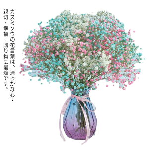 かすみ草 カスミソウ ミックスかすみ草 花 花束 生花 フラワーベース（花瓶）付き ギフト プレゼント ミックスカラー 花 誕生日 結婚 ウエディング 敬老の日 祝い プレゼント ギフト 結婚祝い お礼