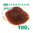 国産イトミミズ(イトメ)活きエサ 100g ※クール便で発送 常温活きエサと同梱不可。