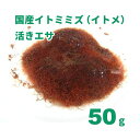 国産イトミミズ(イトメ)活きエサ 50g ※クール便で発送 常温活きエサ 冷凍商品と同梱不可。