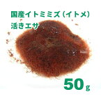 国産イトミミズ(イトメ)活きエサ 50g ※クール便で発送、常温活きエサ、冷凍商品と同梱不可。