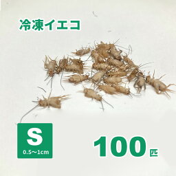 冷凍ヨーロッパイエコオロギ(Sサイズ)100匹【クール便発送】爬虫類、両生類、小動物等の冷凍エサ