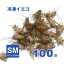 冷凍ヨーロッパイエコオロギ(SMサイズ)100匹【クール便発送】爬虫類、両生類、小動物等の冷凍エサ