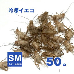 冷凍ヨーロッパイエコオロギ(SMサイズ)50匹【クール便発送】爬虫類、両生類、小動物等の冷凍エサ