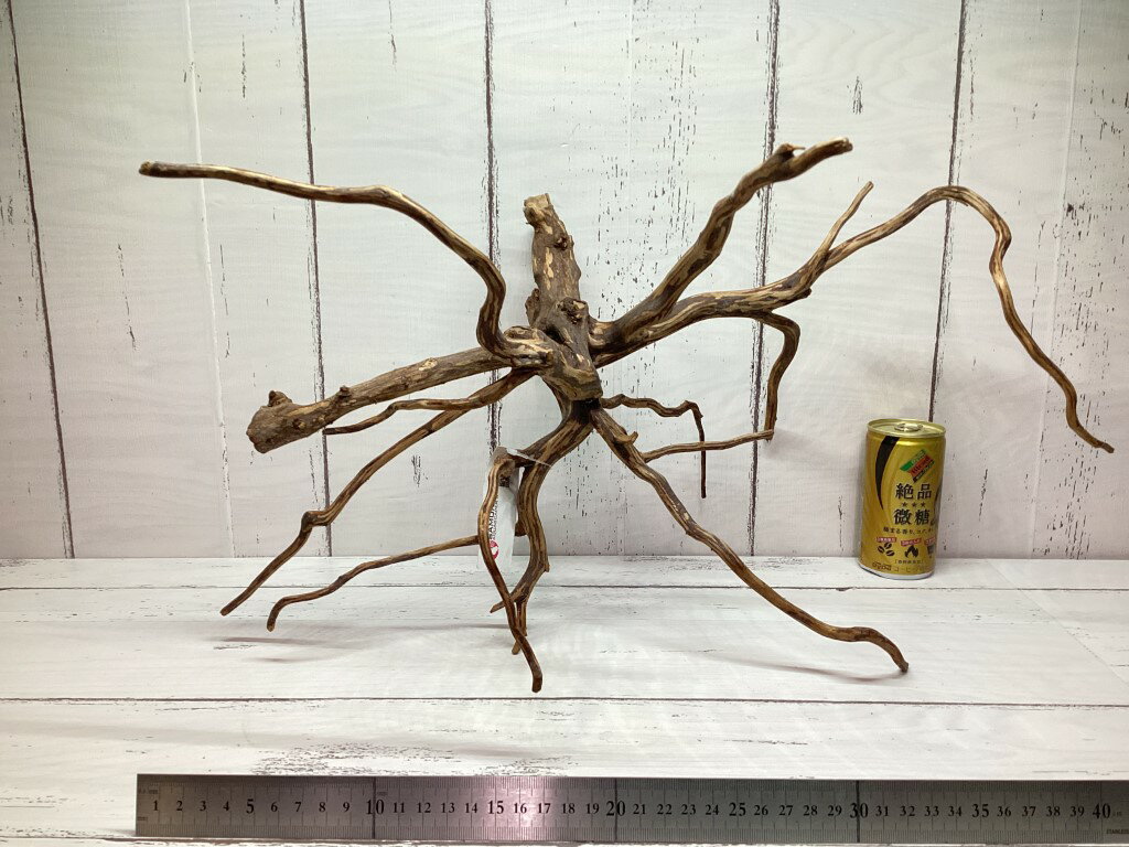 楽天市場】流木 90cm(水槽・アクアリウム内装|熱帯魚 楽天市場】流木 90cm(水槽・アクアリウム内装|熱帯魚