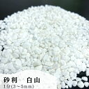 水槽用底砂利「白山 1分」 5kg ※お取り寄せ商品
