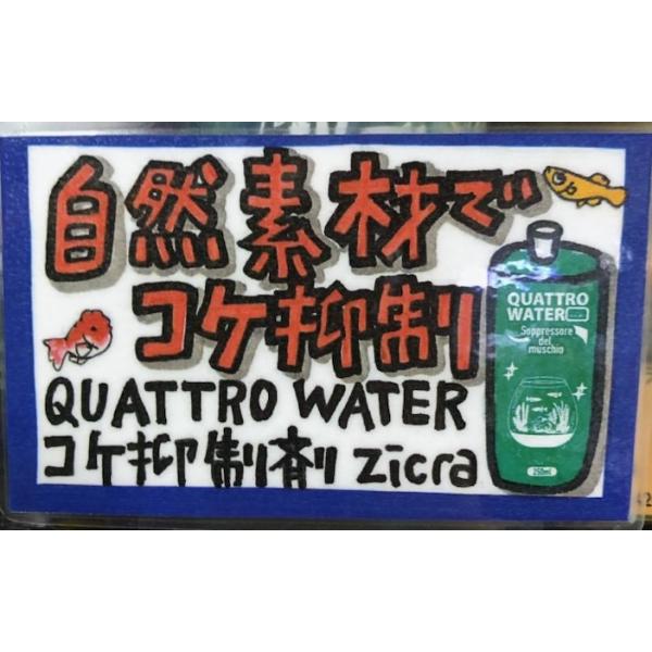 �����ȥ�������������QUATTRO WATER�˥��������ޡ�ø����ѡ�250ml�������饦��������