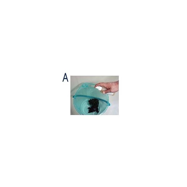 パピエ・シー　ルート&ブランチ(Root & Branch)　180ml　“ノズルタイプ（プッシュ...