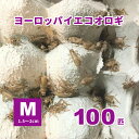 ヨーロッパイエコオロギ（Mサイズ）生き餌 100匹 （1．5～2cm） 【只今20匹増量中】活エサ ※死着補償有り 爬虫類 両生類 大型魚 小動物