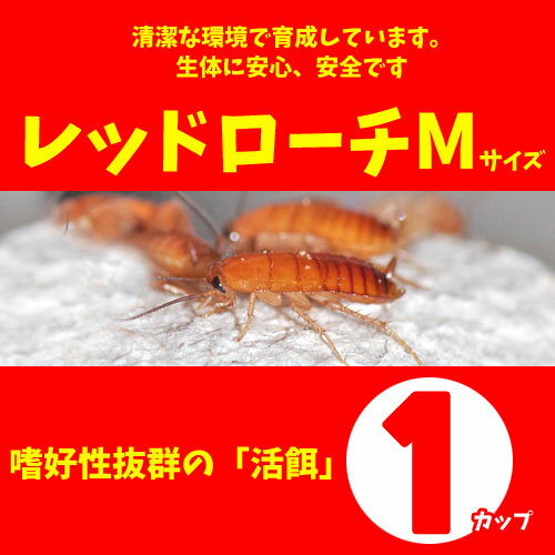 a18-280301-1_1.jpg a18-280301-1_1.jpg