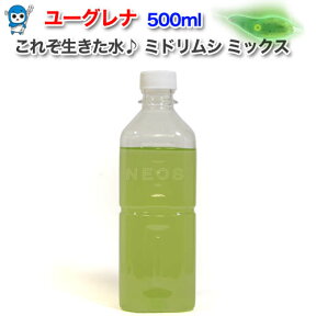 特濃！ミドリムシ　ユーグレナ　500ml【活餌】【水槽/熱帯魚/観賞魚/飼育】【生体】【通販/販売】【アクアリウム/あくありうむ】【小型】