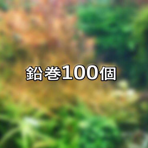 約90cm水槽2本分に相当します。育成の容易な種類をお送りしますが種類はランダムとなり、水草の名称は記載していない状態での発送となります。 水槽導入の際は鉛を外し、底砂に植栽してください。水上葉の水草は水槽に入れると水上葉は一旦枯れますがその後、水中葉を展開します。