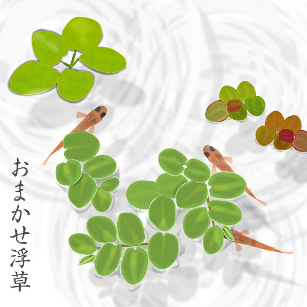 ()ޤ⤭3糧åȡʳ1ˡڿ/Ǯӵ/Ѿ޵/ۡΡۡ/ۡڥꥦ/ꤦۡھ