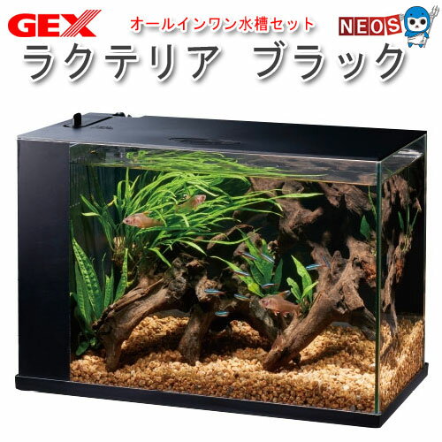 GEX　ラクテリア ブラック　【水槽セット】【飼育セット】【水槽/熱帯魚/観賞魚/飼育/セット水槽/オブジェ】【生体】【通販/販売】【アクアリウム/あくありうむ】