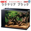 GEX ラクテリア ブラック 【水槽セット】【飼育セット】【水槽/熱帯魚/観賞魚/飼育/セット水槽/オブジェ】【生体】【通販/販売】【アクアリウム/あくありうむ】