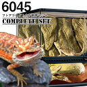 【水槽セット】6045 フトアゴヒゲトカゲ飼育セット コンプリート (大型送料適用)