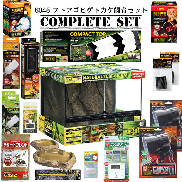 �ڿ��奻�åȡ�6045���եȥ����ҥ��ȥ������饻�åȡ�����ץ꡼�ȡ�(�緿����Ŭ��)