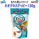 キョーリン ネオプロスグッピー130g