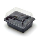 種 発芽用 トレー カバー付き 10セット