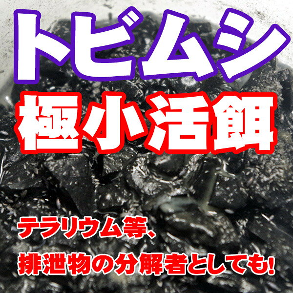 (活餌)トビムシ　ミックス　（1カップ）　パルダリウム、テラリウムの分解者としても