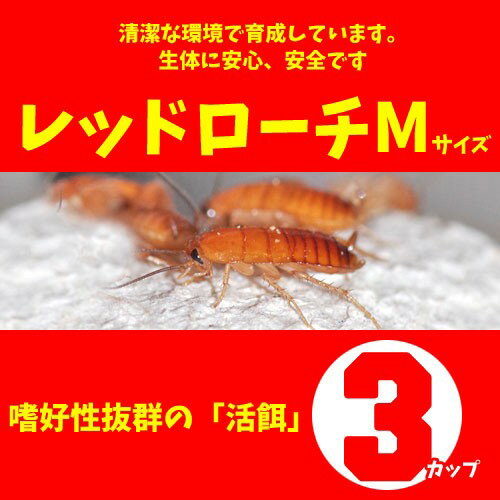 a18-280301-2_1.jpg a18-280301-2_1.jpg