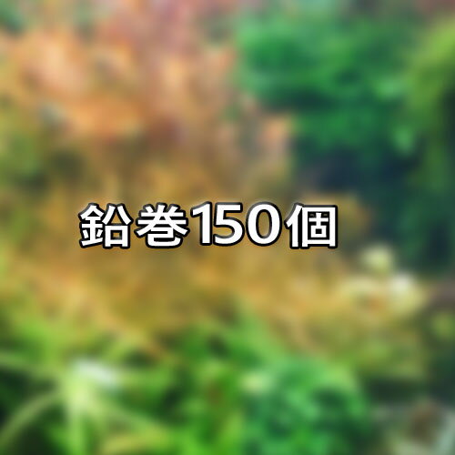 ()𡡱ߥå150ġڤʡ3-4ˡۡڿ/Ǯӵ/Ѿ޵/ۡΡۡ/ۡڥꥦ/ꤦۡھ