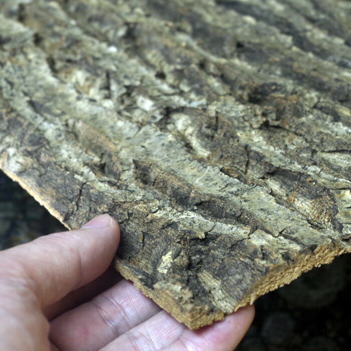 ���륯���顡20��30cm����1cm�ʲ�����10��ۡ��С���