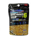 リキジャパン　メダカ専用飼料　DRY Nature Feed ×6　10g　3袋セット