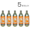 メーカー品 リサイクル リキジャパン CO2ボンベ 64g【5本セット】二酸化炭素 炭酸ボンベ 【航空便不可】