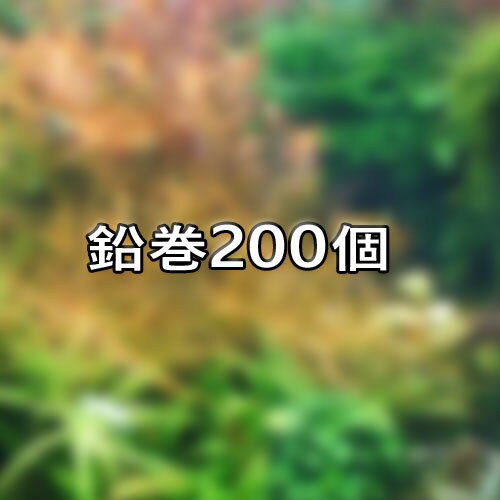 (水草)水草　鉛巻いろいろミックス　200個　【お取り寄せ品（3-4日）】　【水槽/熱帯魚/観賞魚/飼育】【生体】【通販/販売】【アクアリウム/あくありうむ】【小型】