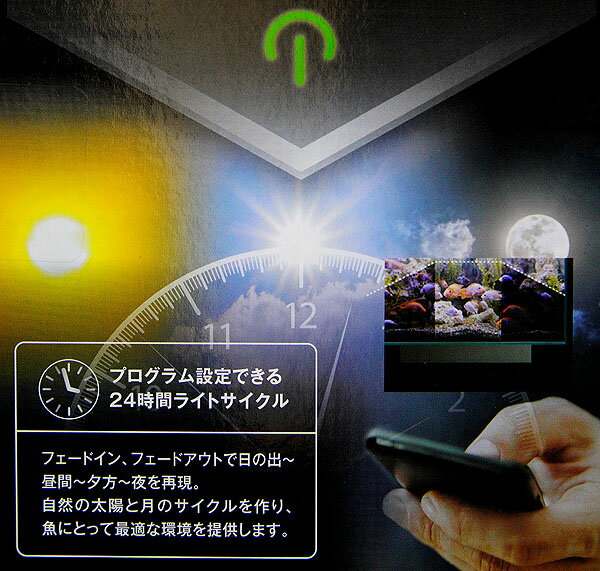 GEX��FLUVAL��PLANT��600���ե롼�Х�ץ��ȡڱ� ���� �����ۡڴѾ޵����¤��ۡڿ���/Ǯ�ӵ�/�Ѿ޵�/����ۡ����Ρۡ�����/����ۡڥ������ꥦ��/�������ꤦ���