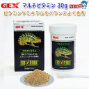 GEX EXO TERRAiGL]ej@}`r^~@30g@PT1860