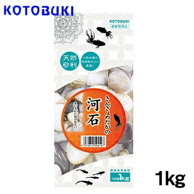 kotobuki　きんぎょめだかの河石　1kg 『特長』 水景色を彩る天然砂利 小型水槽や金魚鉢などに最適な天然の砂利が登場！！ 大粒な砂利できんぎょ飼育にベストマッチです。 また川底を演出するなどレイアウトのワンポイントにお勧めです。 『内容量』 1kg 『ご使用方法』 本品を開封後、必ず5～6回水洗いを行います。 ※水槽内で砂利を洗わないでください。 砂利を水槽内にセットして水を入れる時は、皿や緩衝材などを使用して砂利が舞い上がらないように静かに入れて下さい。