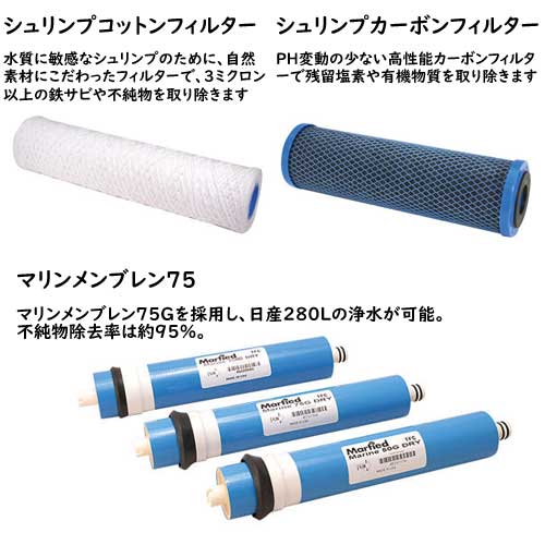 マーフィード　シュリンプエキスパート　75　【取寄商品】【水槽/熱帯魚/観賞魚/飼育/セット水槽/オブジェ】【生体】【通販/販売】【アクアリウム/あくありうむ】【小型】 fish-neos-10104262 ネオス 楽天市場店 サンプル画像2