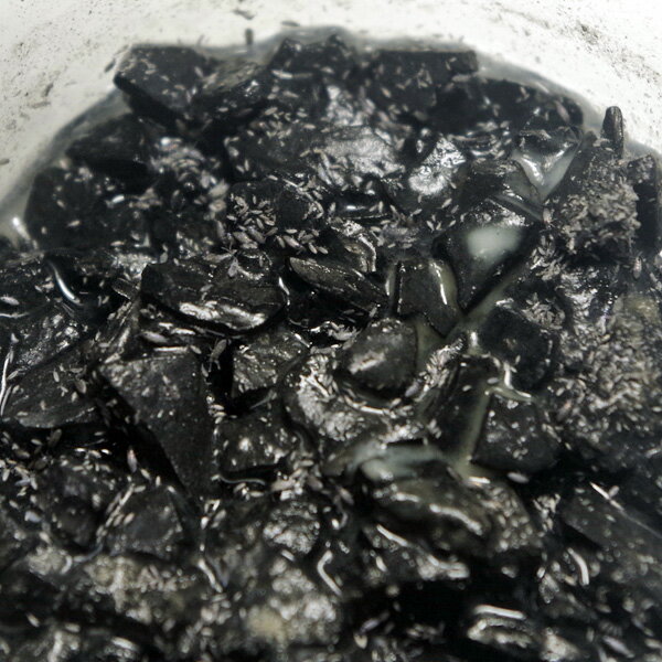 【R】トビムシ増殖セット（※トビムシ生体は含まれません） 2