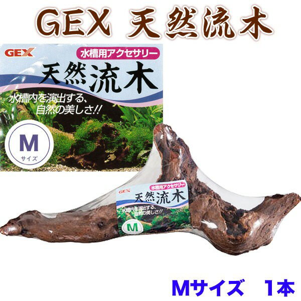 GEX　天然流木 Mサイズ　【形状おまかせ】