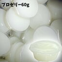 昆虫ゼリー　人気NO.1　プロゼリー　60g【100個】　高たんぱく　無着色　合成保存料無添加　高カロリー