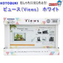 コトブキ ビュース(Views) ホワイト【水槽/熱帯魚/観賞魚/飼育/セット水槽/オブジェ】【生体】【通販/販売】【アクアリウム/あくありうむ】【小型】