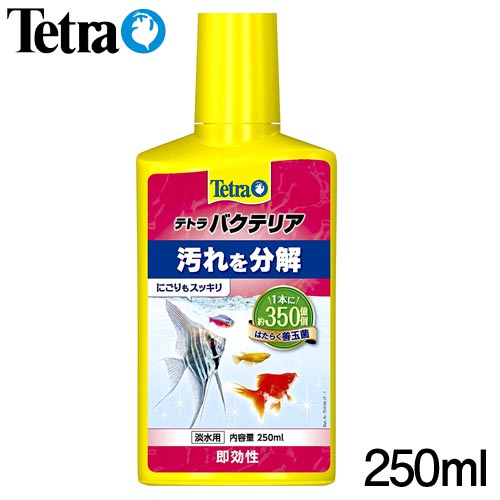 テトラ　バクテリア　250ml【水槽/熱帯魚/観賞魚/飼育】【生体】【通販/販売】【アクアリウム/あくありうむ】【小型】