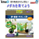 テトラ メダカを育てよう PL-17KB