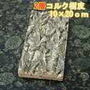 コルク樹皮　2層構造　10×20cm　厚1.5-2cm前後　1枚　コルク　ボード　板