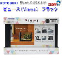 コトブキ ビュース(Views) ブラック【水槽/熱帯魚/観賞魚/飼育/セット水槽/オブジェ】【生体】【通販/販売】【アクアリウム/あくありうむ】【小型】