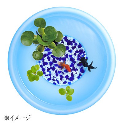 スドー　金魚のガラス砂 瑠璃色　500g　S-8760【新着】【水槽/熱帯魚/観賞魚/飼育...