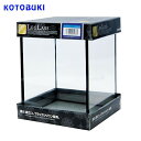 コトブキ クリスタルキューブ150H/B【新着】【水槽/熱帯魚/観賞魚/飼育】【生体】【通販/販売】【アクアリウム/あくありうむ】【小型】