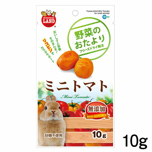 マルカン　野菜のおたより ミニトマト　10g　ML-82【おやつ/餌/えさ/エサ】【ハムスター/うさぎ/リス/..